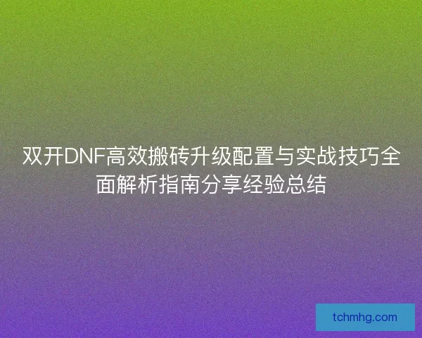 双开DNF高效搬砖升级配置与实战技巧全面解析指南分享经验总结