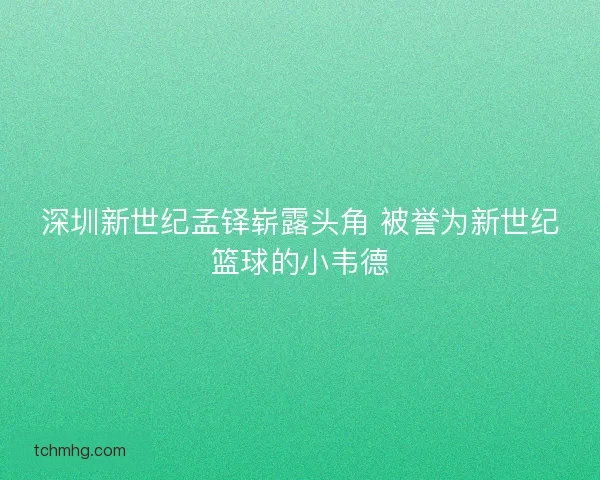 深圳新世纪孟铎崭露头角 被誉为新世纪篮球的小韦德