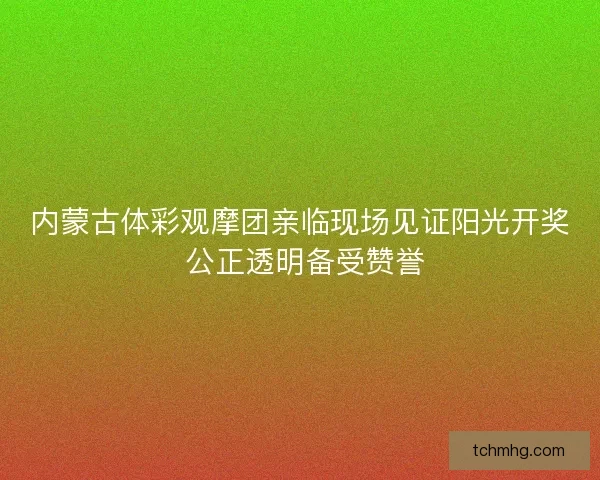 内蒙古体彩观摩团亲临现场见证阳光开奖 公正透明备受赞誉